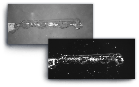 Bright-Dark-Field-Imaging-Modes-on-Rtec-Instruments-Profilometer-1.png