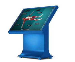 Интерактивный анатомический стол Pl-Anatomy 1.0